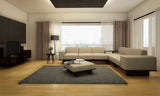 Casual Contemporary Living Room