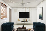 Spacious Contemporary Low Maintenance Living Room