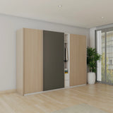 Convenient Spacious Sliding Wardrobe Design