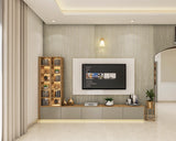 Modern Style Spacious Living Room